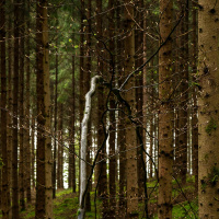 Rottal-Spaziergang - Heidi Halder
