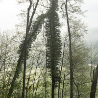 Rottal-Spaziergang - Heidi Halder