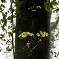 Rottal-Spaziergang - Heidi Halder