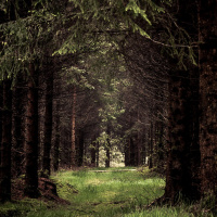 Rottal-Spaziergang - Heidi Halder