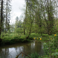 Rottal-Spaziergang - Michaela Bühlerr