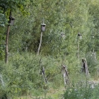 067_Abendspaziergang_005