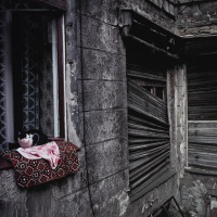 Laupheimer Fototage 2023