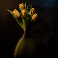 Laupheimer Fototage 2023