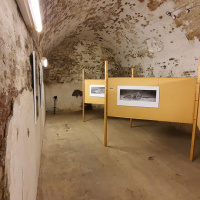 Laupheimer Fototage 2023