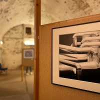 Laupheimer Fototage 2023