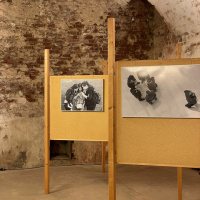 Laupheimer Fototage 2023