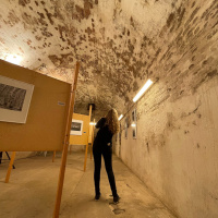 Laupheimer Fototage 2023