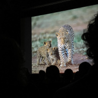 Laupheimer Fototage 2023