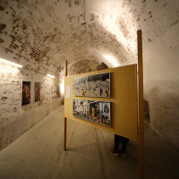 Laupheimer Fototage 2023