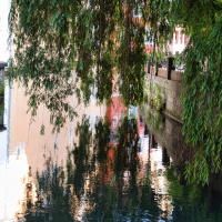 Dietmar Bammert - Fotowalk Ehingen