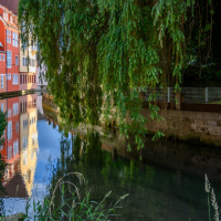 Heinz Gerhard Ott - Fotowalk Ehingen