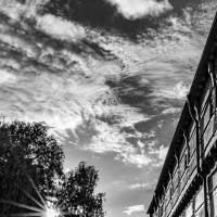 Werner Schad - Fotowalk Ehingen