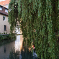 Achim Übelhör - Fotowalk Ehingen