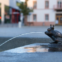 Achim Übelhör - Fotowalk Ehingen