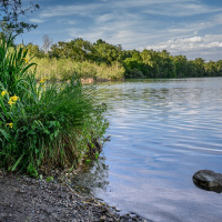 Am Wasser