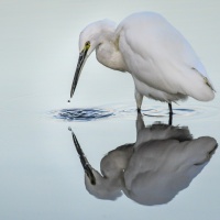 04_214_Reflexionen_001