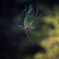 10_040_Reflexionen_02-