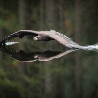 11_117-reflexionen-02