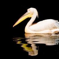 16_304-reflexionen-02