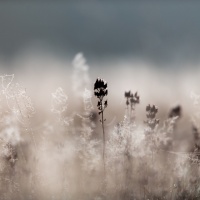 28_040_Reflexionen_01-1-von-1