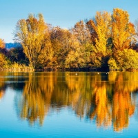 41_107_Reflections-001