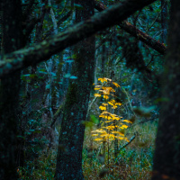 107_Jahreszeiten-001