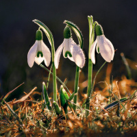 107_Jahreszeiten-002