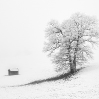 317_Jahreszeit_02
