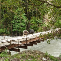 Wertung Herbrechtingen: 3,5