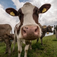 02-320_Landwirtschaft_001