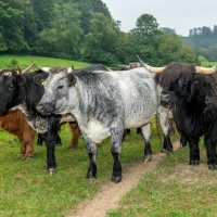03-237-Landwirdschaft-001