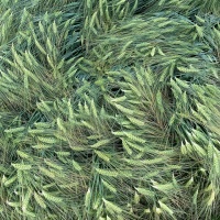 13-323_Landwirtschaft_01