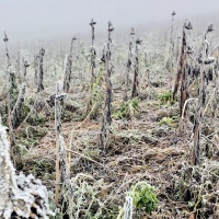 15-323_landwirtschaft_03