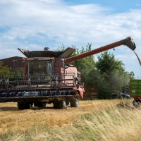 19-237-Landwirdschaft-003