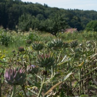 20-058_landwirtschaft_02