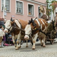 Dirk_Zimmermann