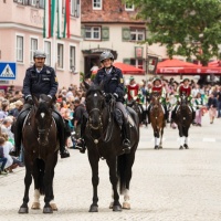 Dirk_Zimmermann