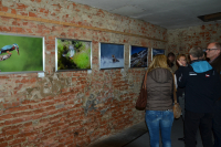 Kulturnacht_2017_2_OM