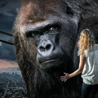 Dirk Zimmermann - Serie "Kino" - Annahme