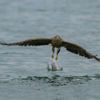 LAFO 2025 Manfred Weiner Annahme