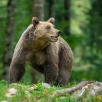 LAFO 2025 Manfred Weiner Annahme