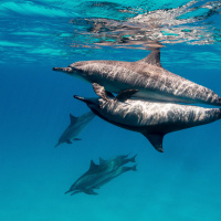 LAFO 2025 Manfred Weiner Annahme