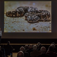 Impressionen Fototage 2019