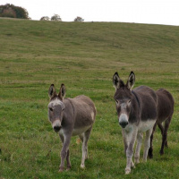 Jahresausflug 2023 Münsingen - Achim Übelhör