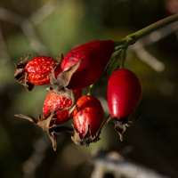 Jahresausflug 2023 Münsingen - Christine Denzel