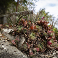 Jahresausflug 2023 Münsingen - Frank Gramlich