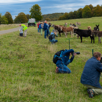 Jahresausflug 2023 Münsingen - Klaus Stückle