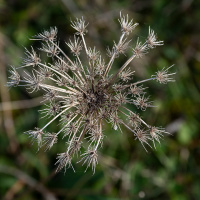 Jahresausflug 2023 Münsingen - Manfred Schroth