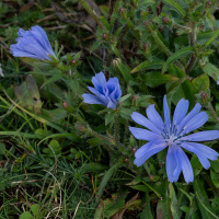 Jahresausflug 2023 Münsingen - Manfred Schroth